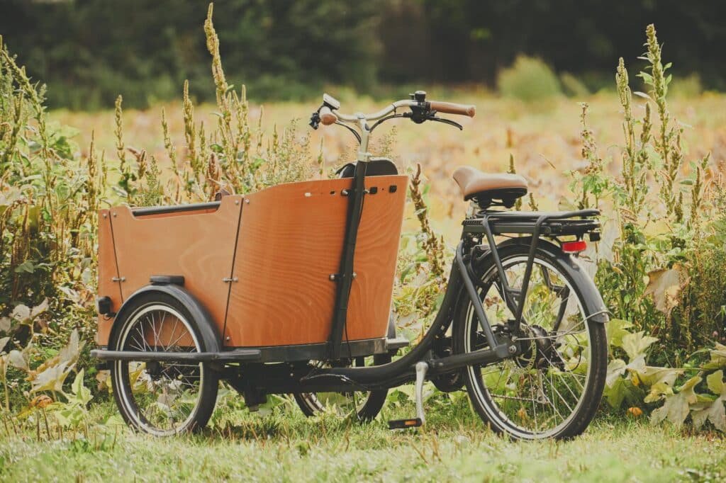 cargo bike family