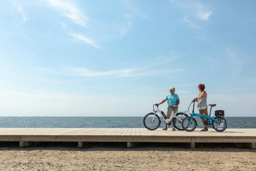 electric bicycle netherlands